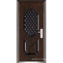 Puerta principal moderna de la casa (WX-S-317)